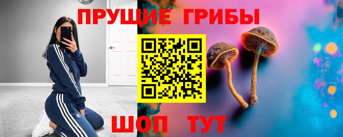 Димитровград  Псилоцибиновые грибы прущие грибы  Галлюциногенные грибы MAGIC MUSHROOMS  Вход с VPN 